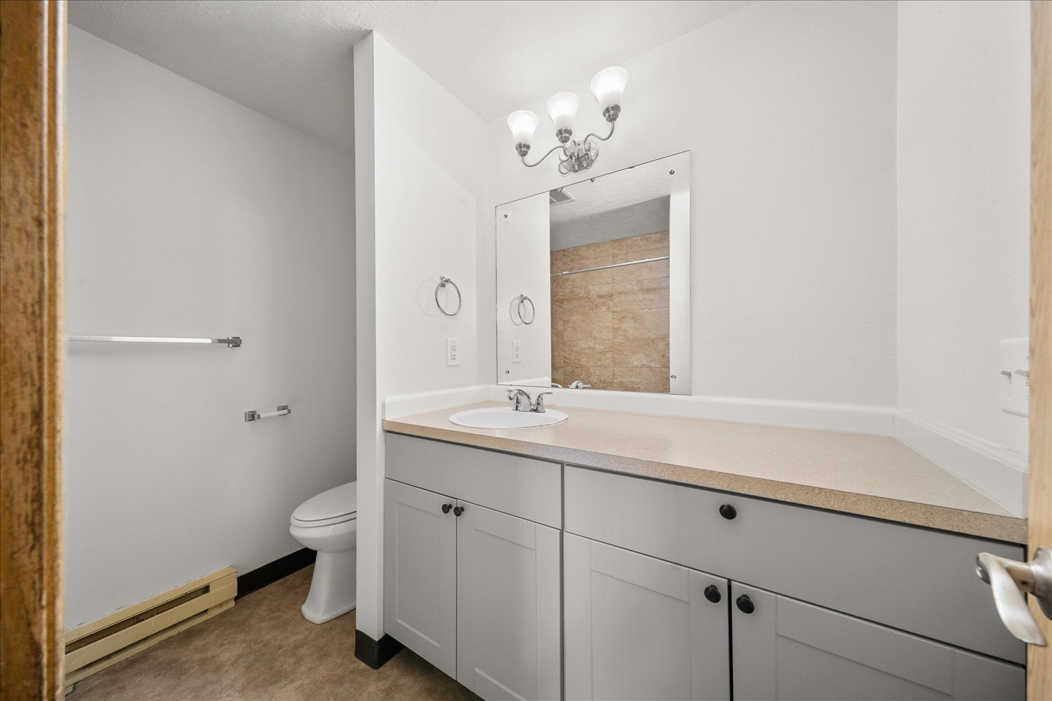 Bathroom Vanity and Toilet